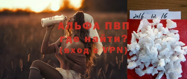 эйфоретик Арсеньев