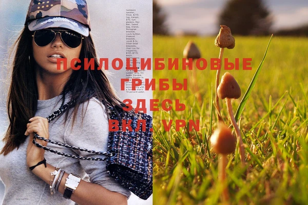 эйфоретик Арсеньев