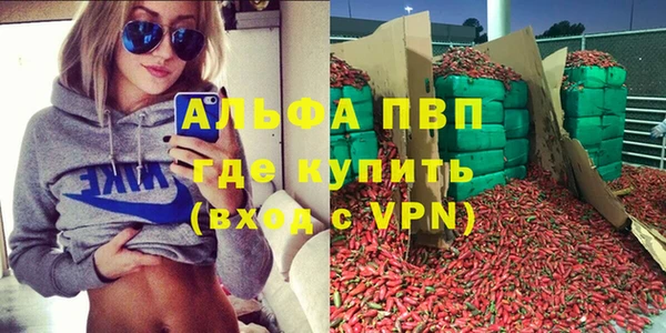 эйфоретик Арсеньев
