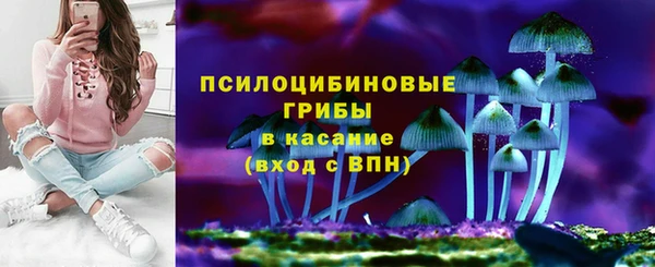 эйфоретик Арсеньев