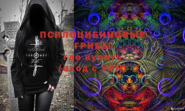 эйфоретик Арсеньев
