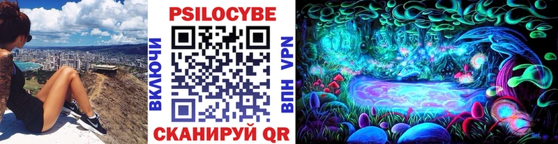 где можно купить   Олёкминск  Псилоцибиновые грибы мухоморы 